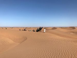 Oasis et désert marocain