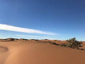 Le grand Sud Marocain