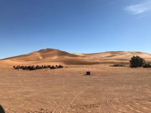 La route des mille kasbahs