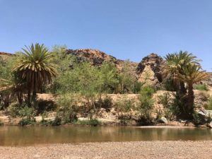 Oasis et désert marocain